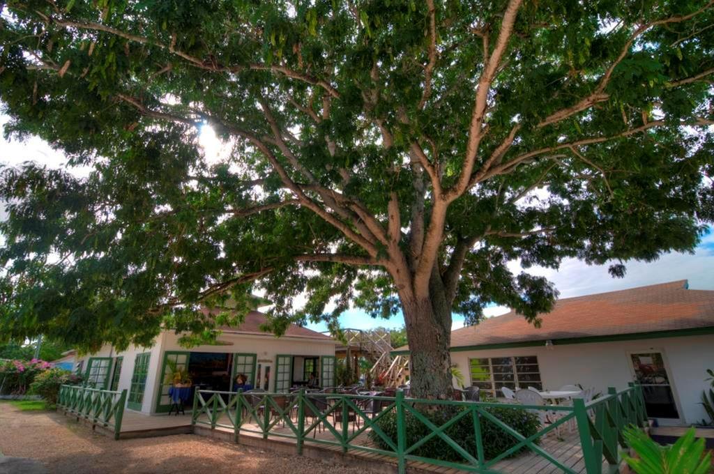 Villa Allamanda, Eleuthera Governor's Harbour Exterior photo