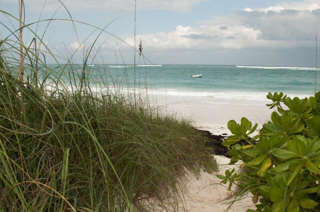 Villa Allamanda, Eleuthera Governor's Harbour Exterior photo